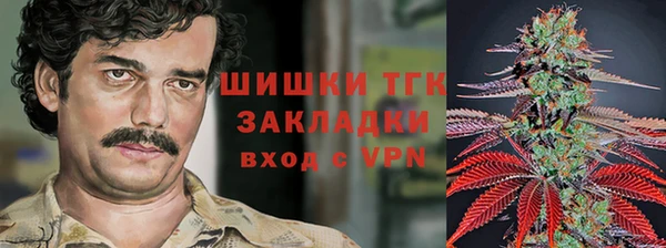 трава Балахна