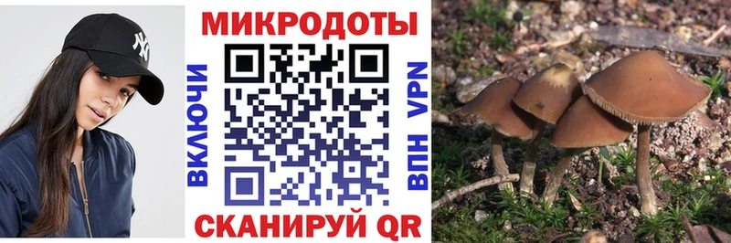 Галлюциногенные грибы прущие грибы Трубчевск