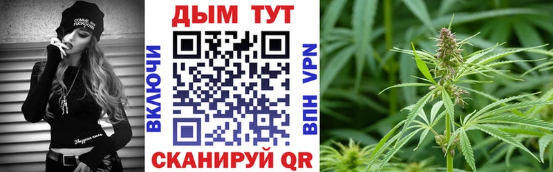Бошки марихуана сатива  Трубчевск 